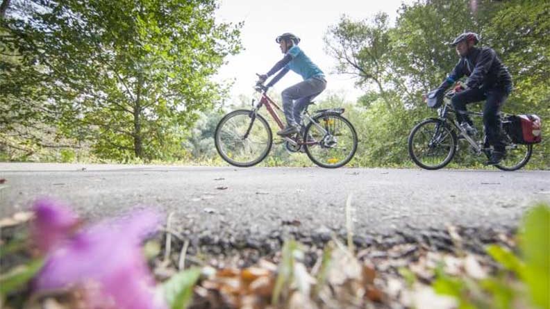 Mit dem Fahrrad rund um das Saarland. (Foto: Eike Dubois)