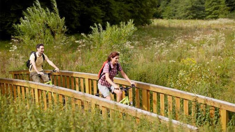 Radfahren im Wald. (Foto: Marcus Gloger)