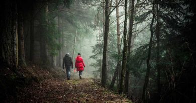 Wandern bei City-Infonet.de