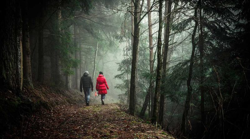 Wandern bei City-Infonet.de